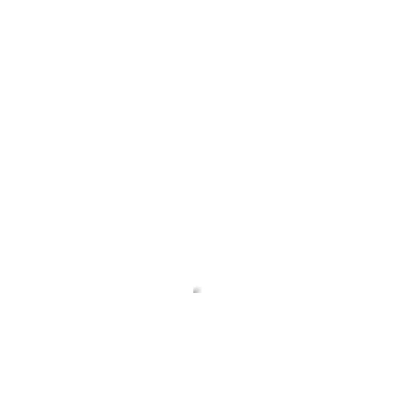 Portfolio_icon