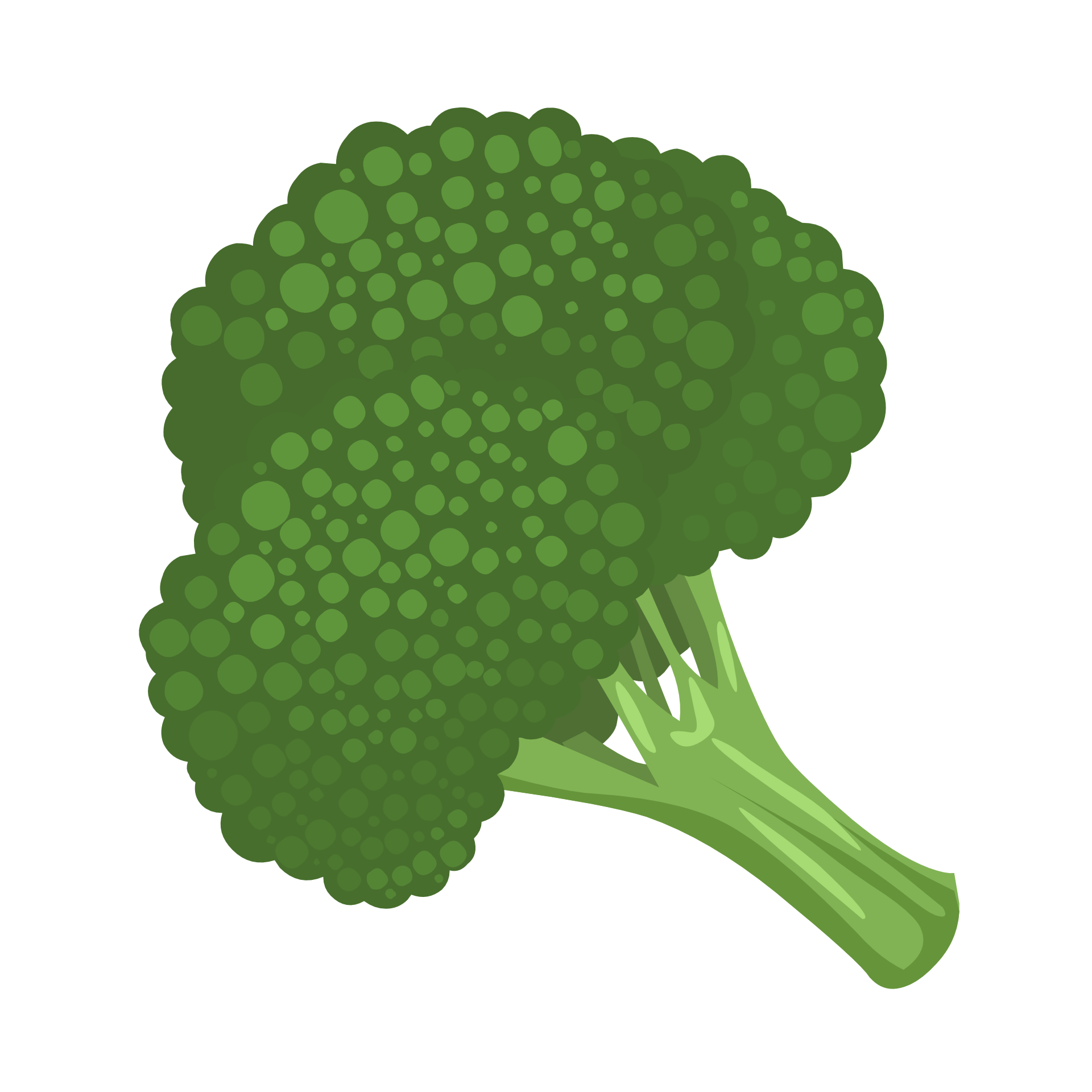 Broccoli