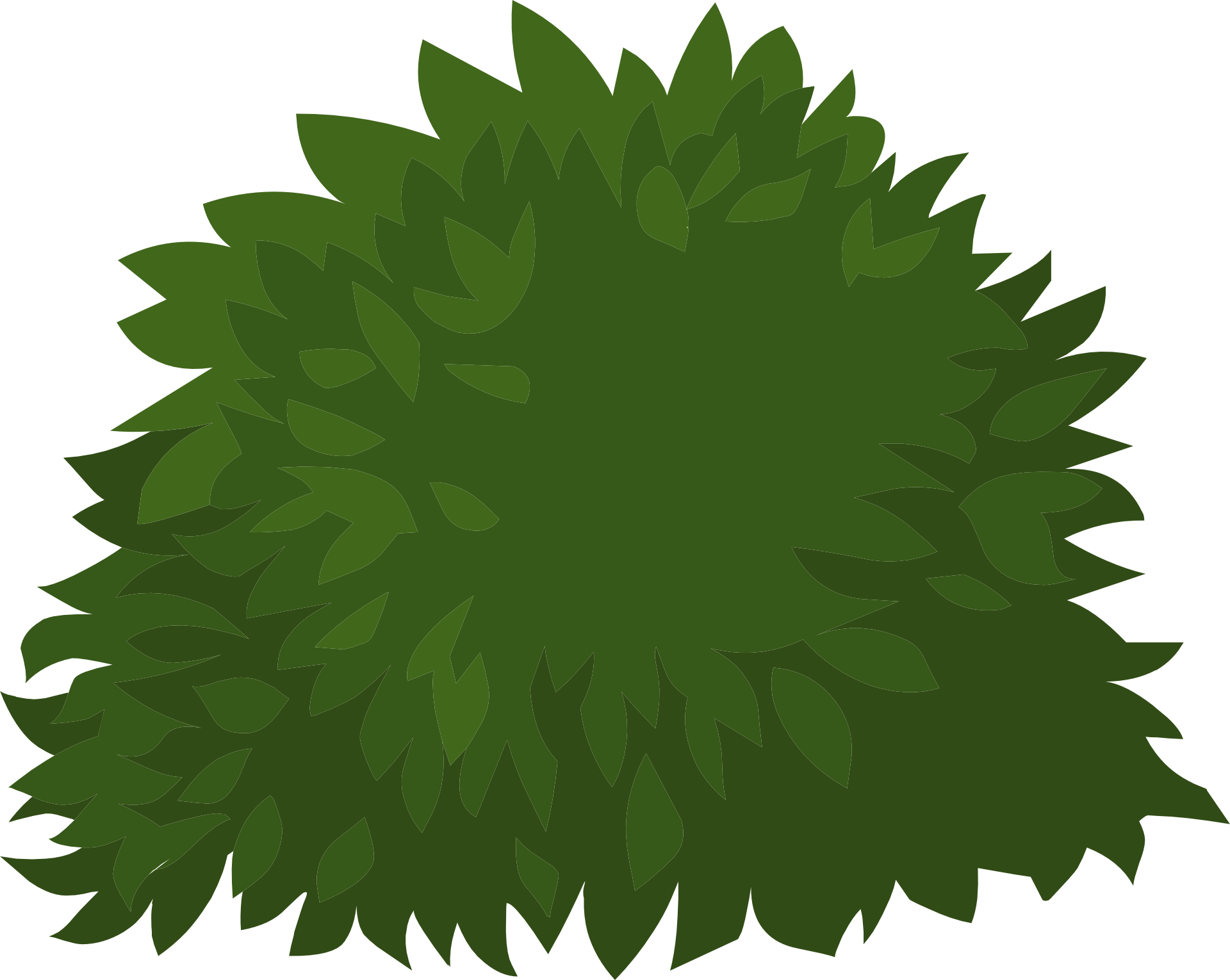 Bush