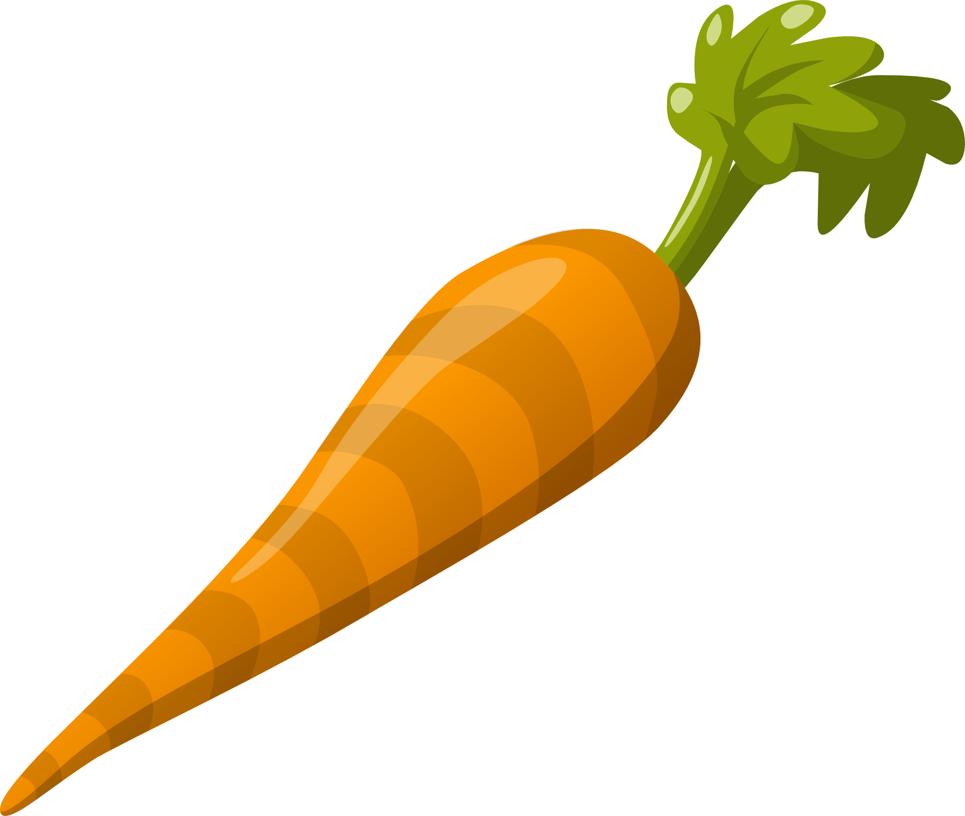Carrot