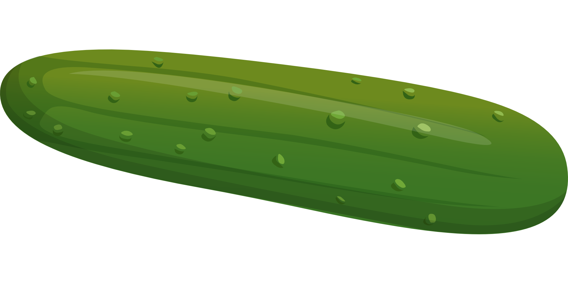 Cucumber