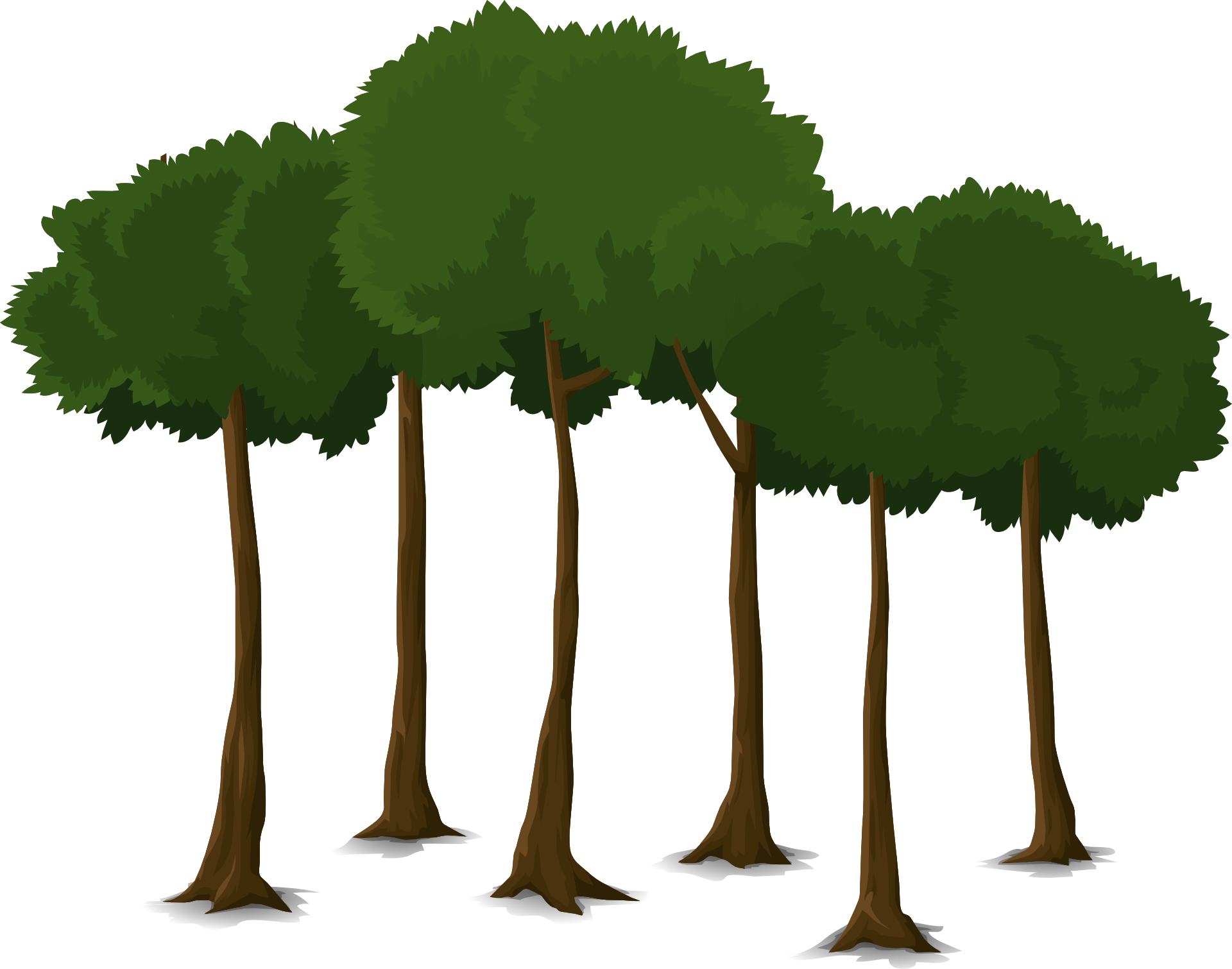 Grove