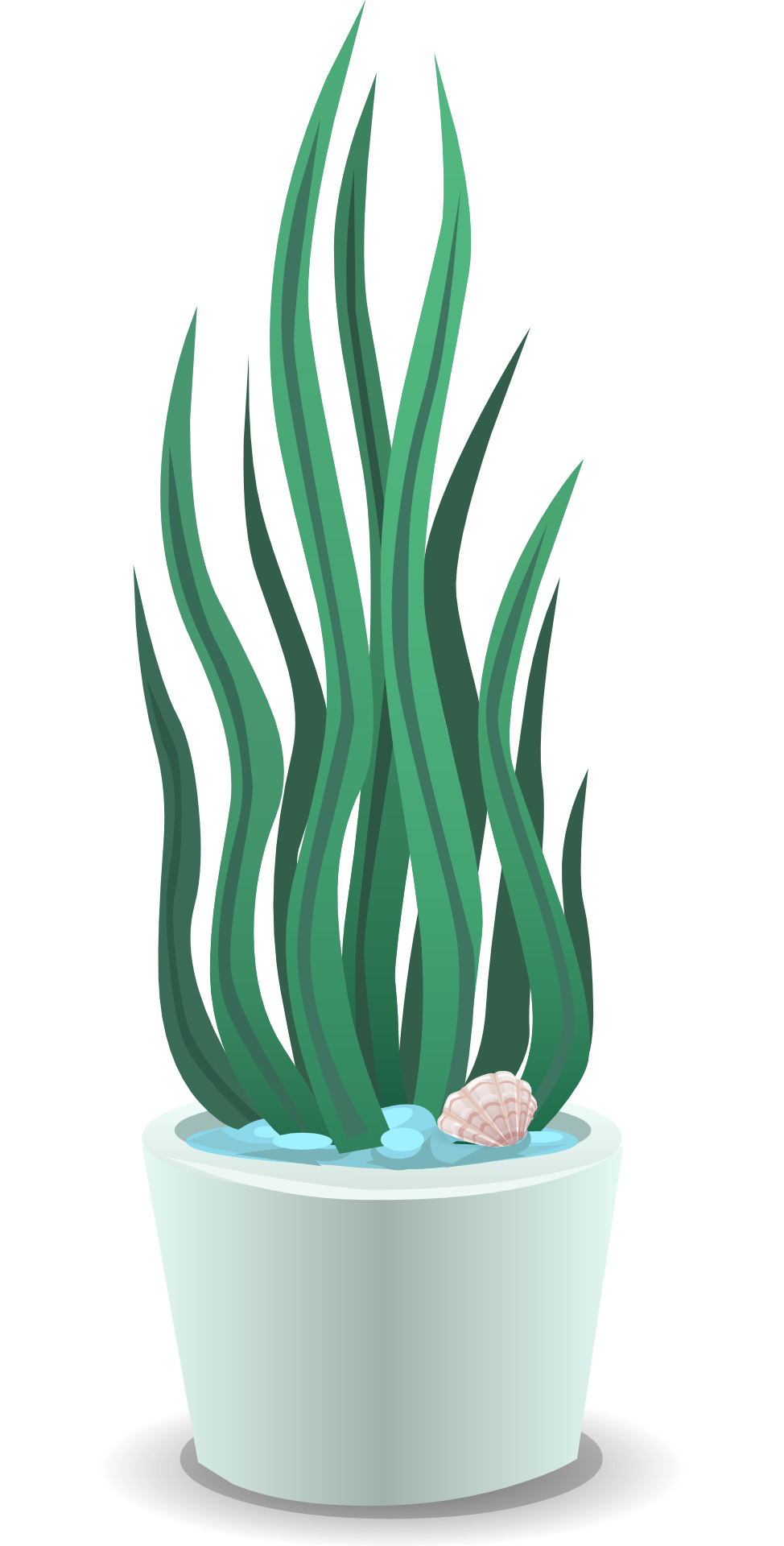 Houseplant