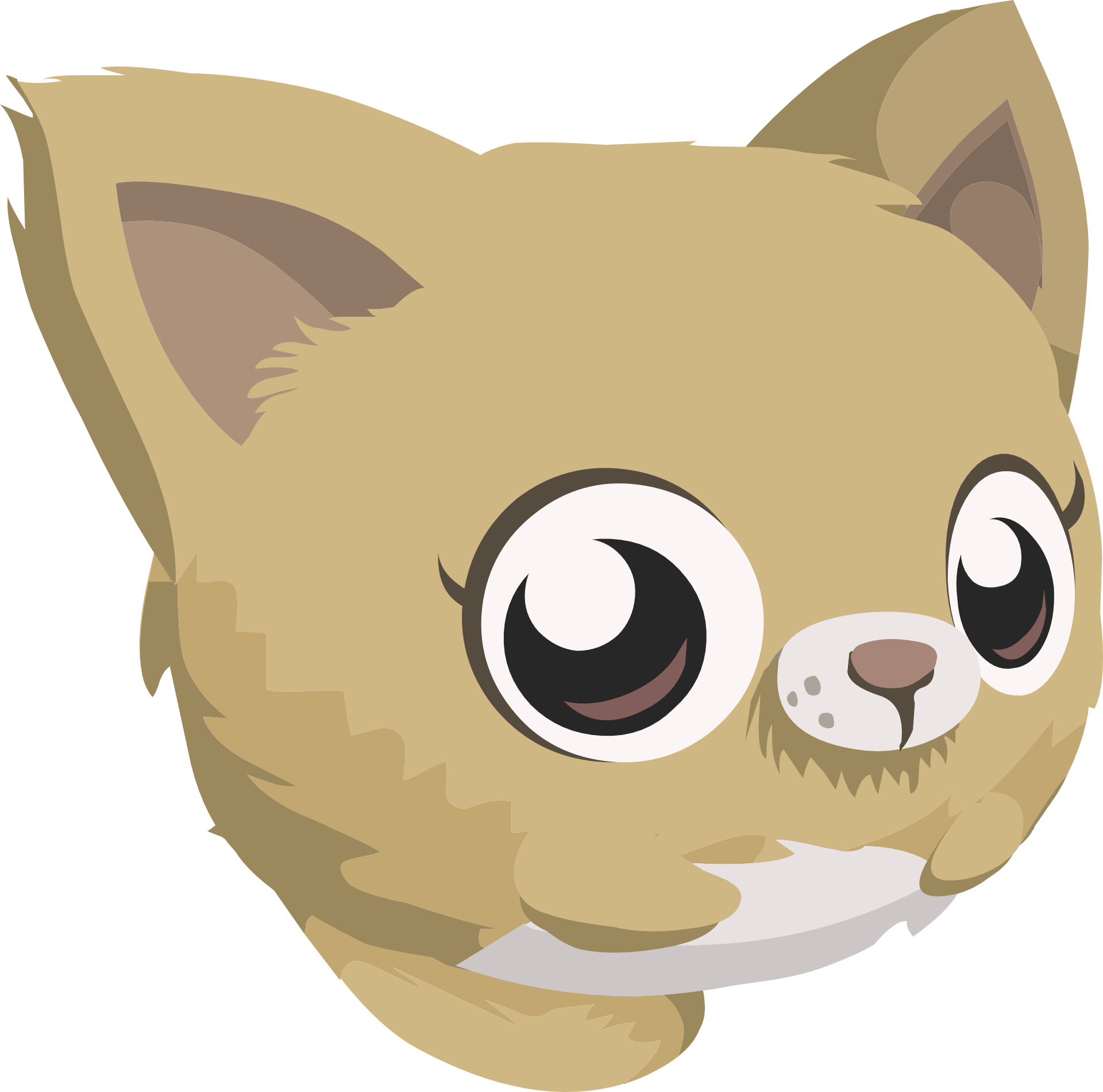 Kitten