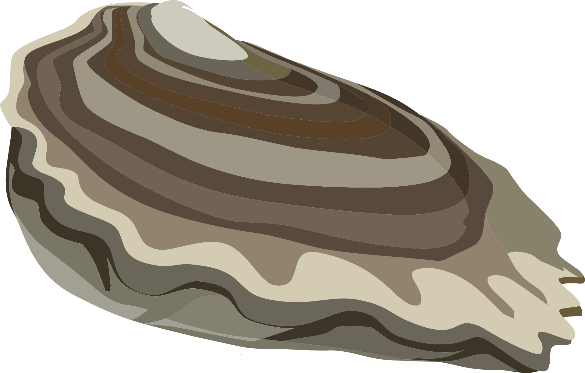Oyster