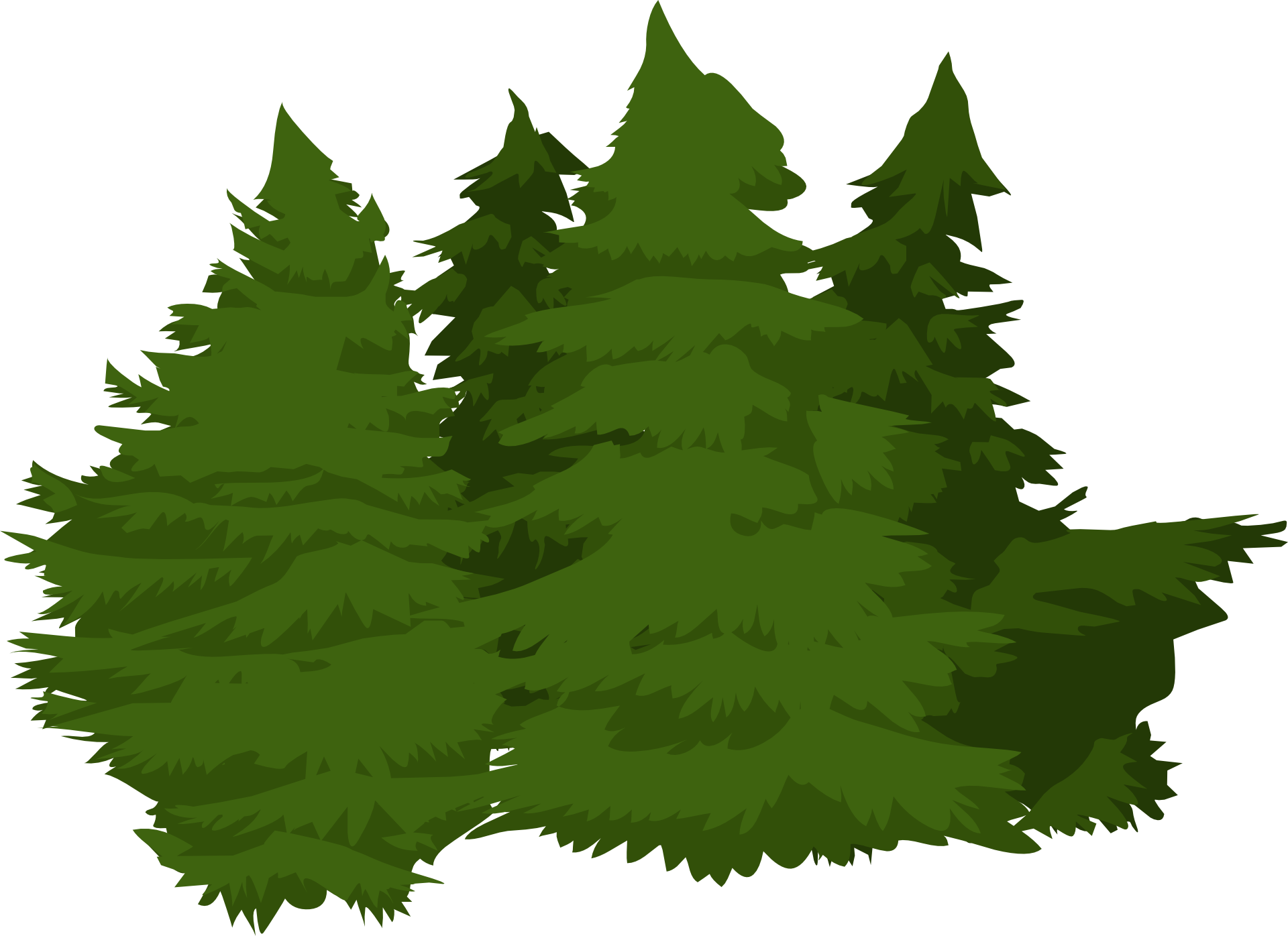 Pines