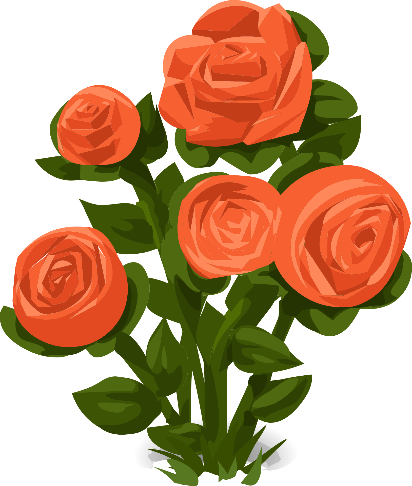 Roses