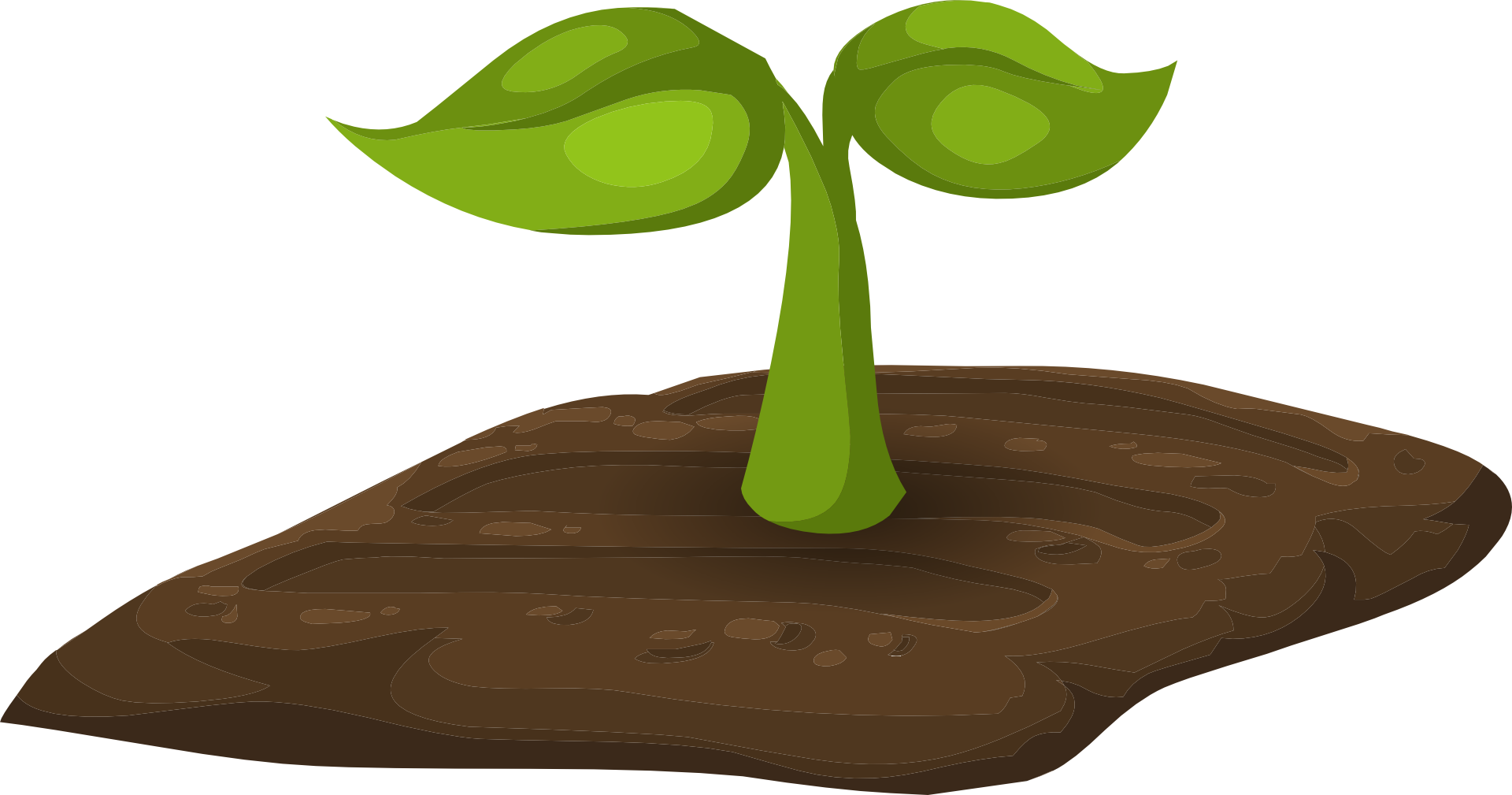 Sprout