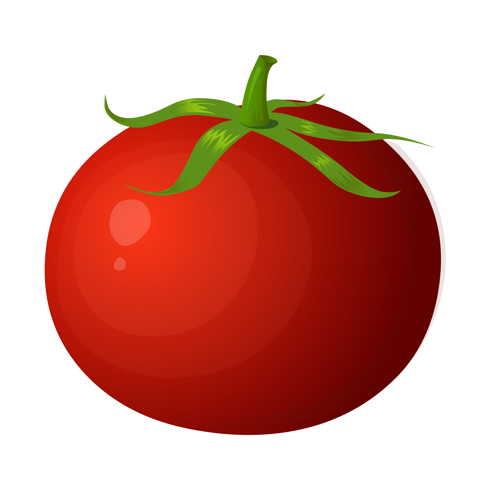 Tomato