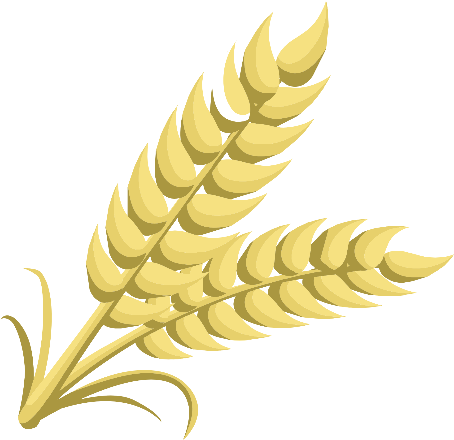 Wheat